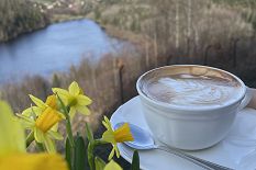 IMG_8660.jpg